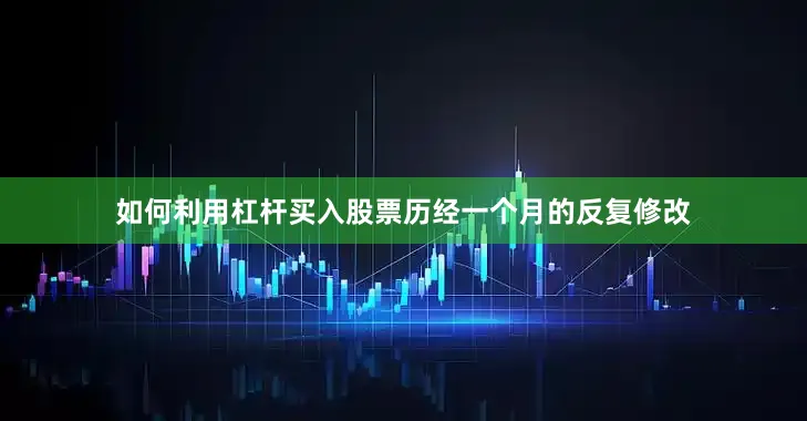 如何利用杠杆买入股票历经一个月的反复修改