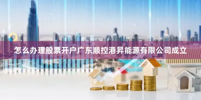 怎么办理股票开户广东顺控港昇能源有限公司成立