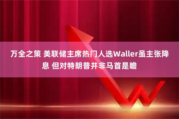 万全之策 美联储主席热门人选Waller虽主张降息 但对特朗普并非马首是瞻