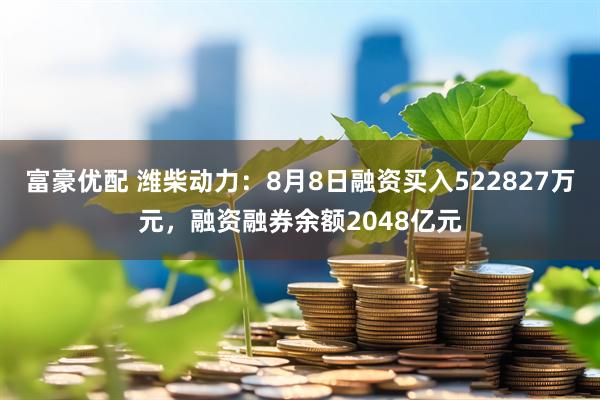 富豪优配 潍柴动力：8月8日融资买入522827万元，融资融券余额2048亿元