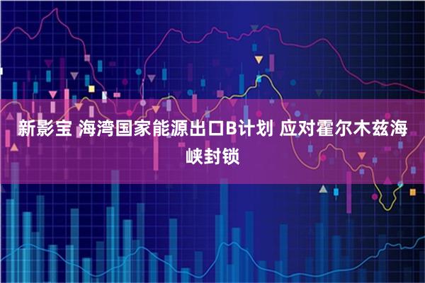 新影宝 海湾国家能源出口B计划 应对霍尔木兹海峡封锁