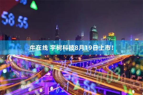 牛在线 宇树科技8月19日上市！